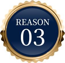 REASON 03