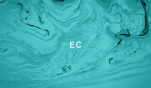 在庫管理の負担をゼロに！運用代行を活用して本業に集中するための効率化ガイド