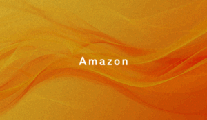 Amazon輸入ビジネスの基礎｜規制・品質・アカウント管理の安定化フロー